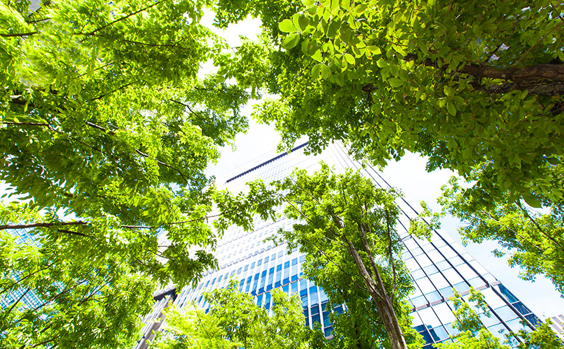 ビジネスタワーと緑の葉の画像