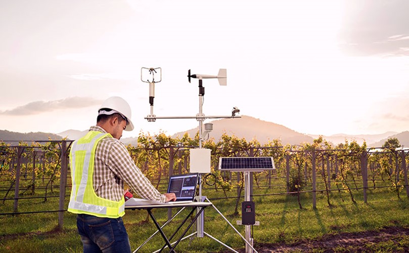 Man using electronic devices on a vineyard