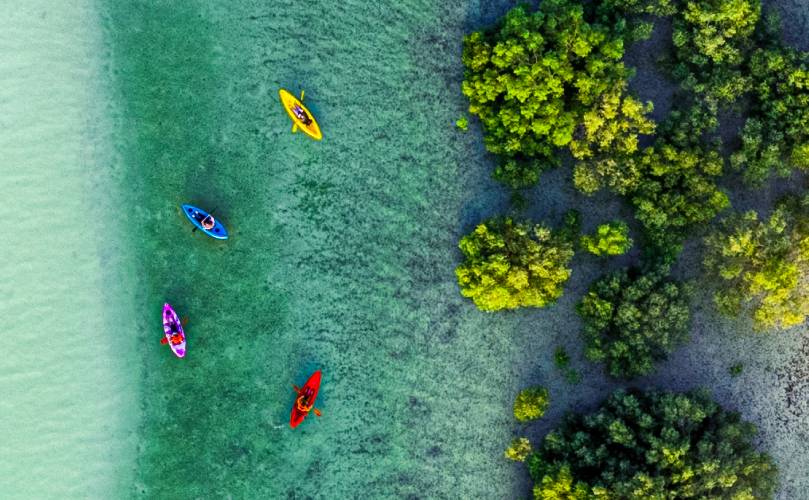 Overhead view of brightly colored canoes on a lake surrounded by trees.