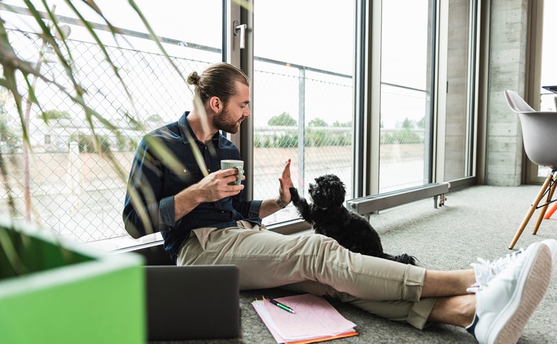 Young businessman with a laptop sitting on the floor in office playing with dog