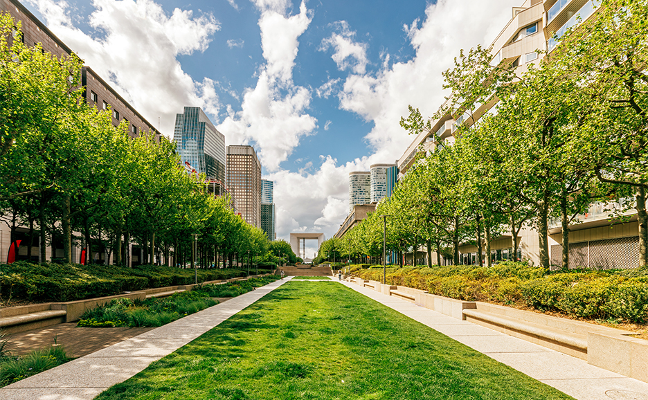 a sunny tree-lined street in the heart of the city